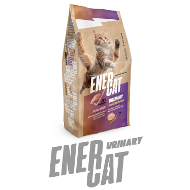 Catfeed